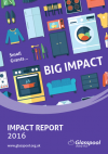 Impact Report